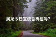 属龙今日宜烧香祈福吗？吉日良辰揭秘