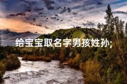 给宝宝取名字男孩姓孙;孙姓宝宝，起名大作战：寻找最萌昵称