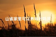 山雀家里可以养吗好吗风水_《山雀家居风水：适合养吗？好风水揭秘》
