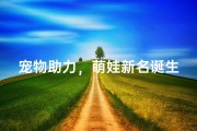 宠物助力，萌娃新名诞生