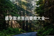 晨字取名吉凶查询大全—《晨光吉凶一网打尽：全方位取名吉凶查询大全》