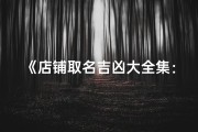 《店铺取名吉凶大全集：揭秘吉祥店铺名之道》