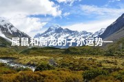 属鼠和属龙的子孙运势—属鼠属龙子孙运势揭秘：福星高照，龙腾鼠跃
