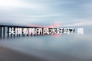 头像有鸭子风水好吗？揭秘鸭图符咒的吉凶影响