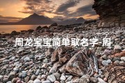 周龙宝宝简单取名字-周龙宝宝萌动来袭：萌娃取名大揭秘