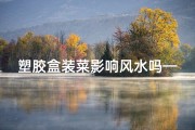 塑胶盒装菜影响风水吗—塑胶盒装菜影响风水？揭秘家居风水禁忌