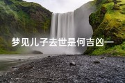 梦见儿子去世是何吉凶—《梦见儿子去世：揭秘吉凶之谜》