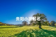 贵阳小孩起名