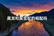 属龙和属金蛇的相配吗