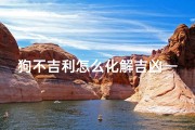 狗不吉利怎么化解吉凶—狗不理寓意