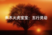 朱木火虎宝宝：五行灵动，虎气生威的名字推荐