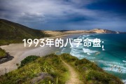 1993年的八字命盘;1993年的命格