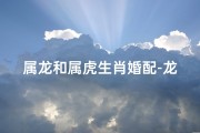 属龙和属虎生肖婚配-龙虎配：生肖结合的激情火花