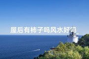 屋后有柿子吗风水好吗_屋后柿子风水解析：好风水，好生活