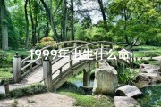 1999年出生什么命;1999年命格揭秘：运势巅峰，财富翻倍