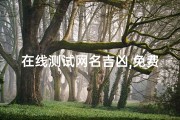 在线测试网名吉凶,免费测网名吉凶打分测试结果