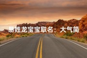 易姓龙宝宝取名：大气简单，龙腾四海
