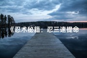《忍术秘籍：忍三速提命格之道》