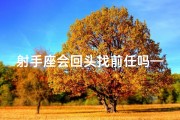 射手座会回头找前任吗—《射手座前缘再续：能否找回旧爱？》
