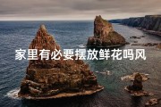 家里有必要摆放鲜花吗风水,家里有必要摆放鲜花吗风水好不好