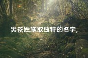 男孩姓施取独特的名字,施氏2016年男宝宝：传承家训，未来之星璀璨绽放