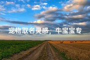宠物取名灵感，牛宝宝专属的可爱名字推荐