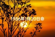 1986年1月20日命格：揭秘独特命运之谜
