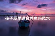 孩子屋里适合养鱼吗风水(家里有孩子养鱼的风水有什么讲究)