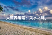 大缸养睡莲：风水之谜，家居宜忌解析