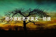给小孩起名字英文—给孩取英文名
