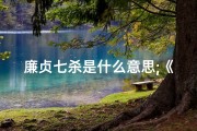 廉贞七杀是什么意思;《廉贞七杀吉凶解析：揭秘命理奥秘》