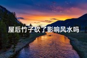屋后竹子砍了影响风水吗、屋后竹子砍伐，风水影响揭秘