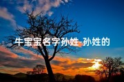 牛宝宝名字孙姓-孙姓的牛宝宝