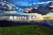 属龙1976 适合的楼层