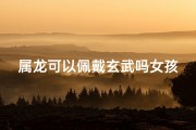 属龙可以佩戴玄武吗女孩