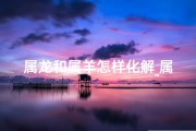 属龙和属羊怎样化解_属龙属羊化解之道：和谐共融新篇章