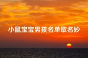 小鼠宝宝男孩名单取名妙方大揭秘