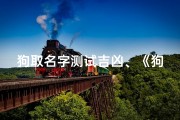 狗取名字测试吉凶、《狗狗取名大揭秘：吉凶测试，选名无忧》