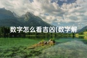 数字怎么看吉凶(数字解码吉凶，一查便知运势)