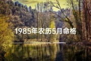 1985年农历5月命格揭秘：五行运势大解析