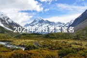 2021年汤姓男宝宝名字大全,《龙年吉祥：汤姓男宝宝取名，创意取名攻略》