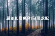 属龙和属兔合吗(属龙配属兔，姻缘吉凶大揭秘)