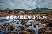 属龙买4楼把东山可以吗-属龙买4楼东山可否？风水解析揭秘