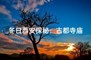 冬日西安探秘：古都寺庙的静谧时光