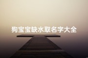 狗宝宝缺水取名字大全