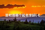 翌和翊哪个起名字好(《龙宝宝取名翌与翊：哪个名字更具寓意与韵味？》)