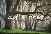 2024一月十六号是黄道吉日吗