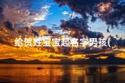 给贺姓宝宝起名字男孩(贺姓男孩稀少大气名字)