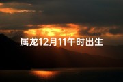 属龙12月11午时出生