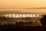 小区里适合栽树吗风水(小区栽树风水宜忌解析)